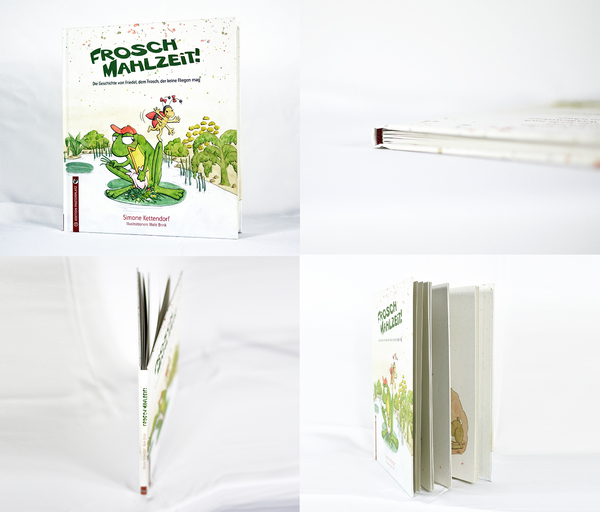 frosch montage